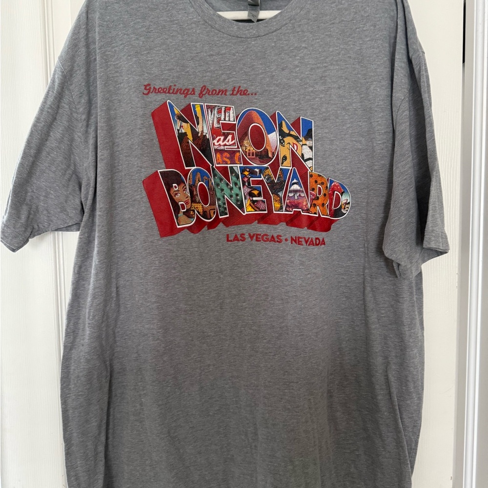 Next Level Apparel Gray T-Shirt